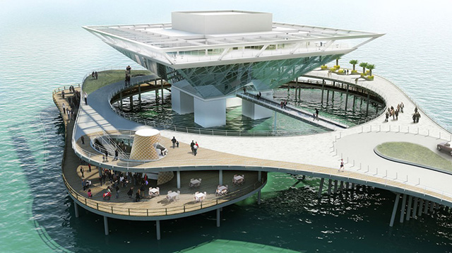 Объявлены финалисты конкурса St. Petersburg Pier Design Competition
