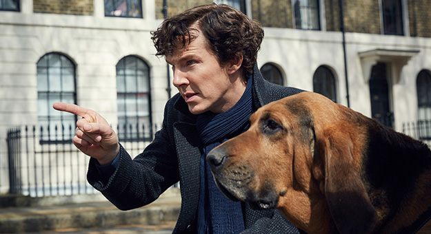 10 самых интересных сериалов сезона