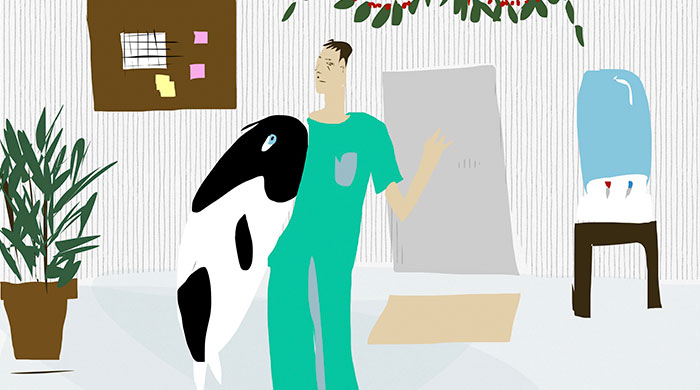 Домашнее чтение: \"Тысяча и одна ночь отделения скорой помощи\"