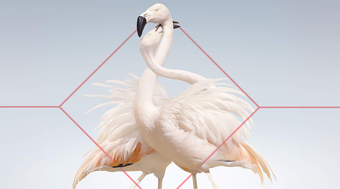 Плейлист: 20—26 апреля