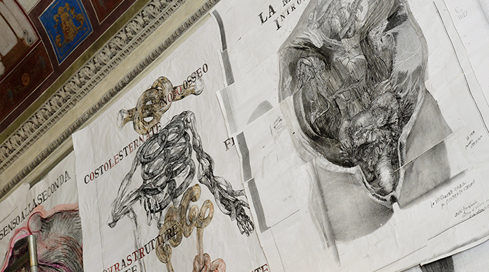 В Милане открылась ретроспектива Furla Art Award