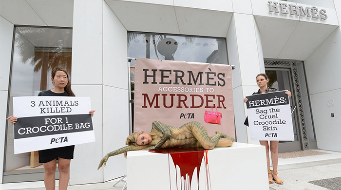 PETA стал акционером Hermès