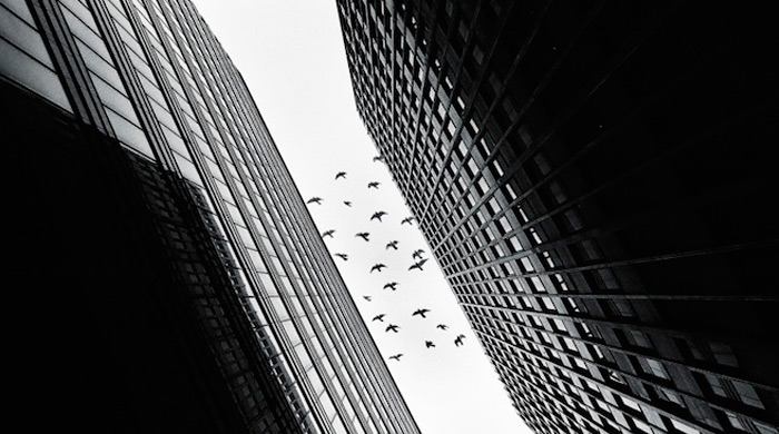 Выбор Buro 24/7: Фотографии Best of Russia