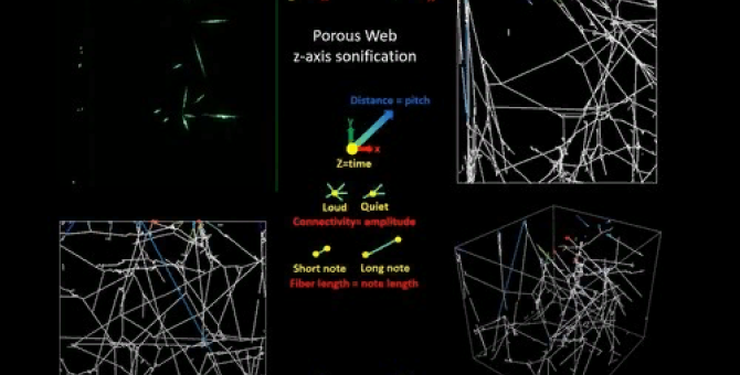 Ученые Массачусетского технологического института показали, как звучит паутина
