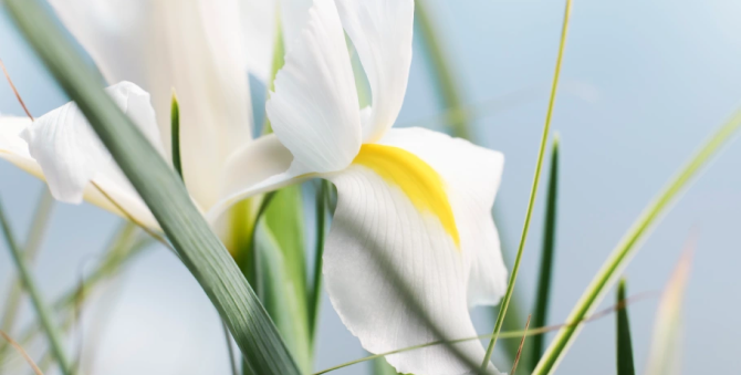 Christian Dior запустил экологическую стратегию развития парфюмерной линии