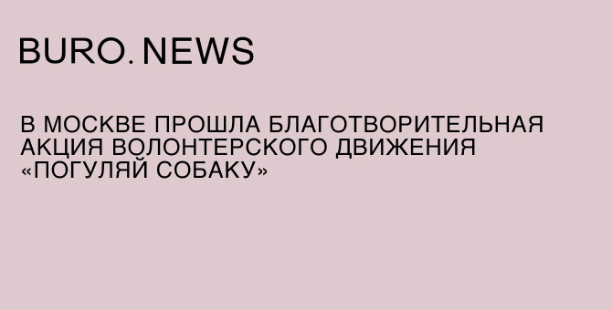 В Москве прошла благотворительная акция волонтерского движения «Погуляй собаку»