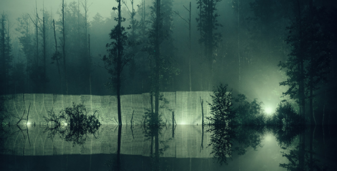 Фестиваль Signal объявил арт-колл на участие в художественной программе