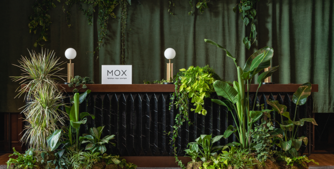 В «Художественном» открылся корнер флористического проекта «МОХ»