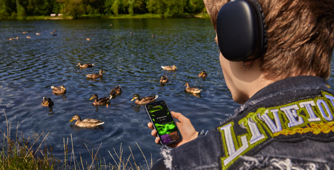 «Яндекс Музыка» выпустила гайд по московским паркам с уточками