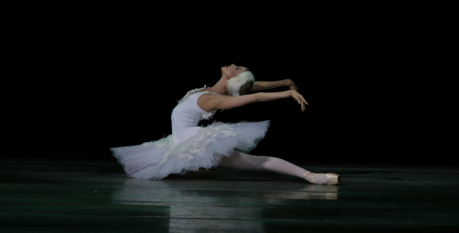 «Щелкунчик» и симфонии Чайковского: Okko покажет эксклюзивную коллекцию Мариинского театра