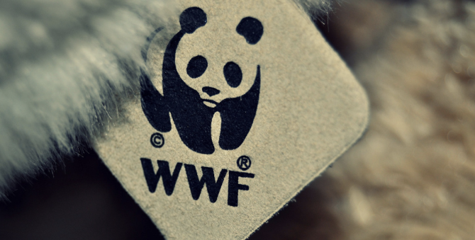 Власти Чукотки расторгли соглашение с WWF из-за «угрозы национальной безопасности»