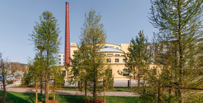 В Петербурге на базе бывшего Левашовского хлебозавода откроется культурный центр