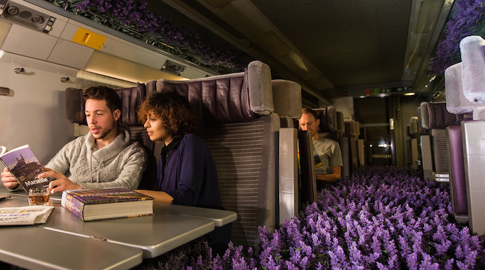 Лавандовые поля в поезде Eurostar по случаю запуска нового направления