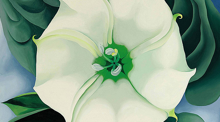 Джорджия О'Киф и Роберт Раушенберг: программа Tate Modern на новый год