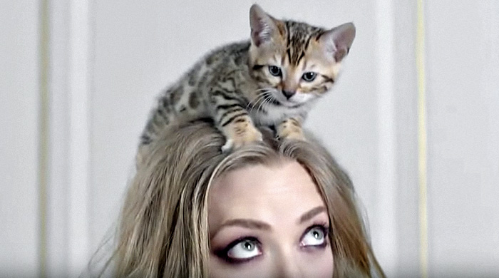 Аманда Сейфрид в рекламе аромата Live Irrésistible Givenchy