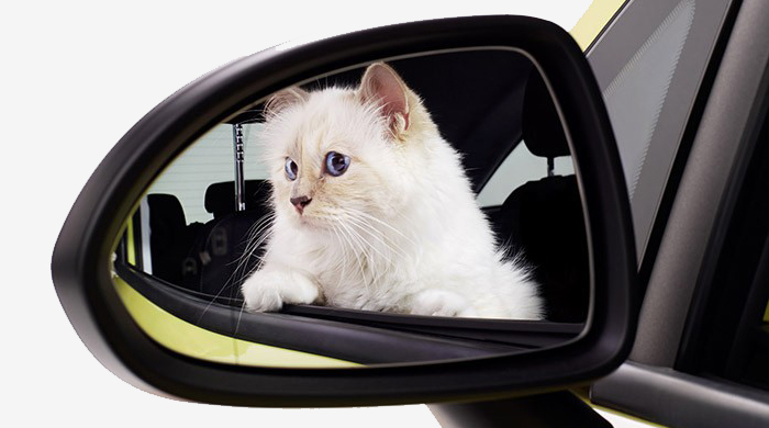 Кошка Карла Лагерфельда теперь рекламирует автомобили