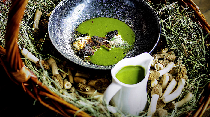 Грибные места Москвы: где пробовать сморчки