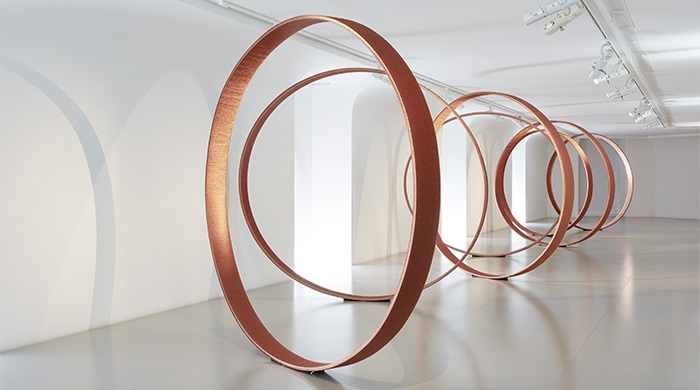 Экспозиция Элис Андерсон в Espace Louis Vuitton Paris