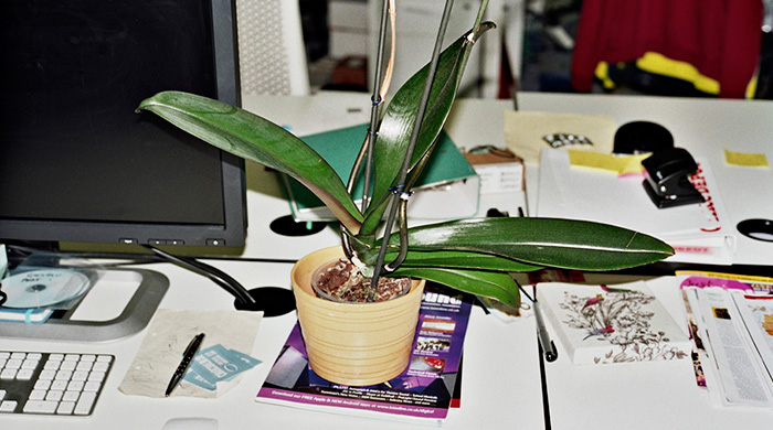 Как выжить после отпуска: советы психолога