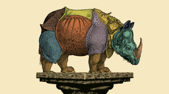 Домашнее чтение: отрывок из книги \"Напрасные совершенства и другие виньетки\"