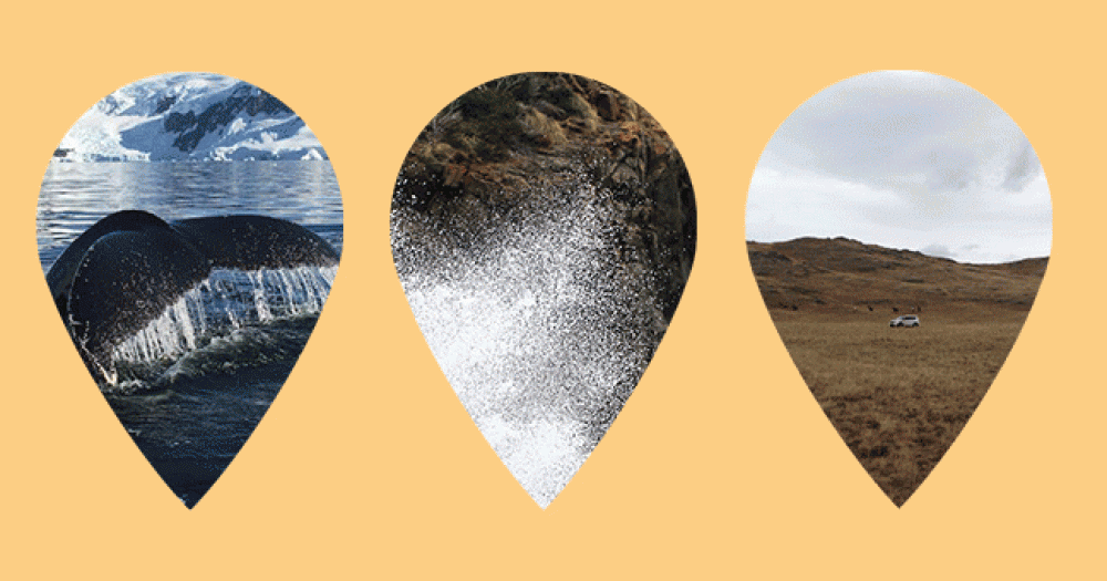 Друзья BURO. рассказывают о своей самой экстремальной поездке и сдают крутые маршруты