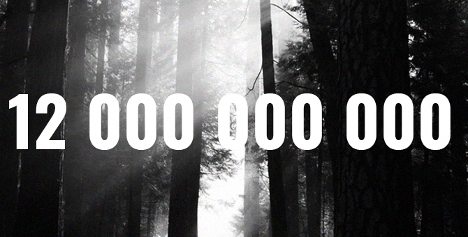 Сумма экологического ущерба в России за прошлый год составила 12 миллиардов рублей