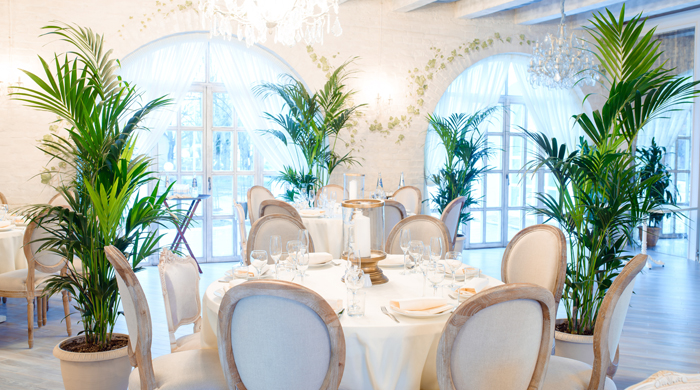 Новое советское ретро: кафе \"Московское небо\" на ВДНХ