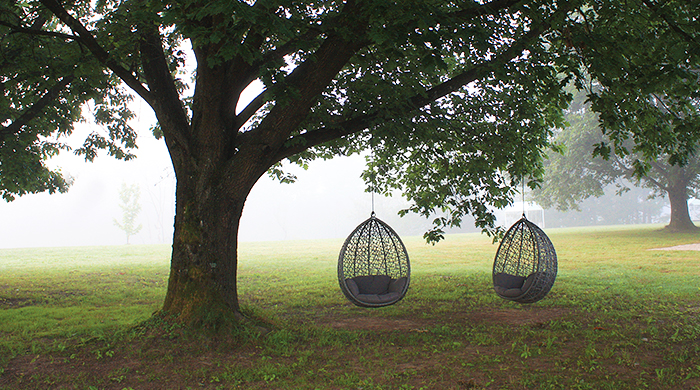 Big Berry: экоотдых на берегу реки Колпы