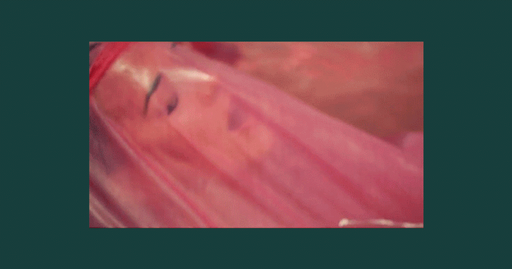 Несмотря ни на что: Кэти Перри выпустила видео на песню Rise