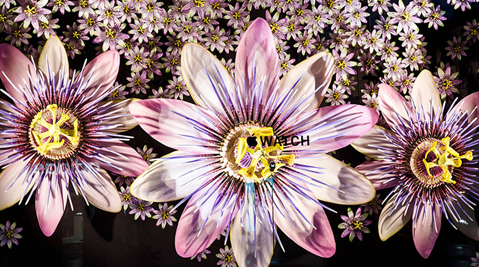 Витрины Selfridges расцвели букетами от Apple