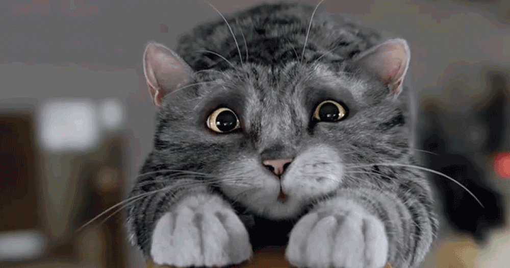 Новогодние видеоролики от магазинов Printemps, Harrods и других