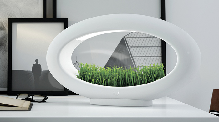 Светло и зелено: лампа Grasslamp с садом внутри