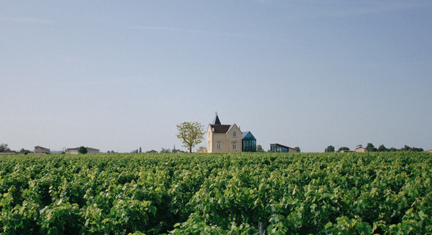 Вино с виноградников из списка всемирного наследия ЮНЕСКО: какое оно и как его делают