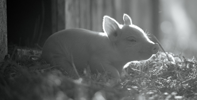 Топ-5 документальных фильмов с Берлинале от Алены Бочаровой из Beat Film Festival
