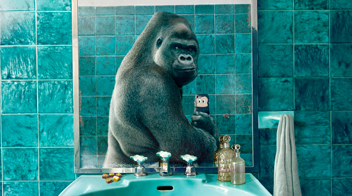 Дикие селфи: новый проект National Geographic и Diomedia