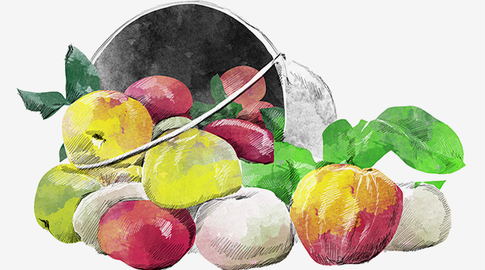 Как фермерские продукты попадают или не попадают в Москву