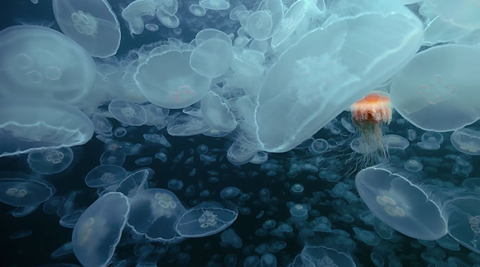 Рождение Вселенной в трейлере \"Путешествия времени\" Терренса Малика