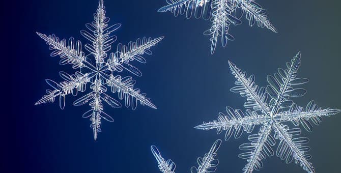 Фотограф заснял снежинки в макросъемке на 100 мегапикселей