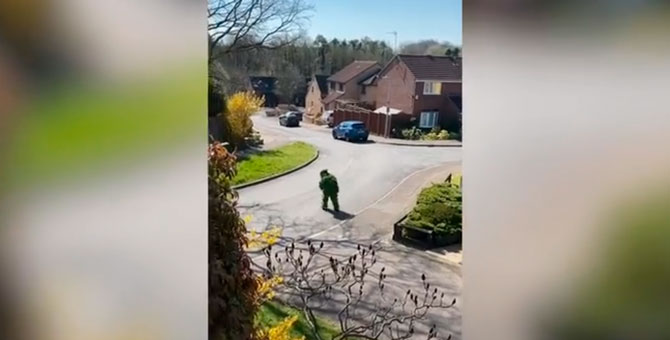 Британец замаскировался под куст, чтобы выйти на улицу во время карантина