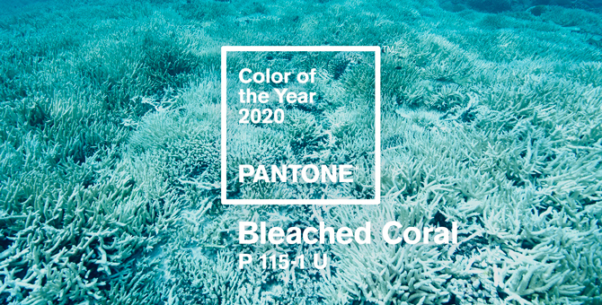 Дизайнеры предложили Pantone выбрать цвет «умирающего коралла» на 2020 год