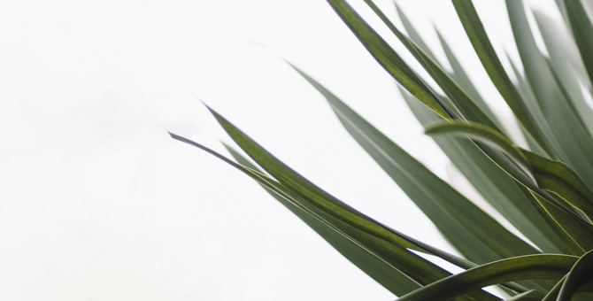 Что такое sub-zero waste — главный тренд бьюти-индустрии в 2019 году