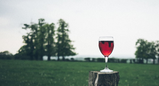 Почему не бывает безопасной дозы алкоголя