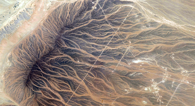 ООН предсказывает глобальный климатический кризис в 2040 году