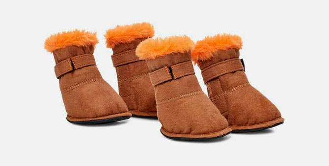 UGG выпустили обувь для собак