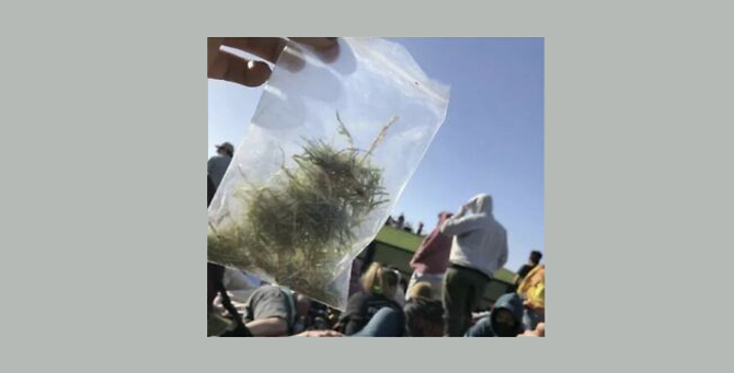 В Сети продают «святую» траву со службы Канье Уэста на Coachella