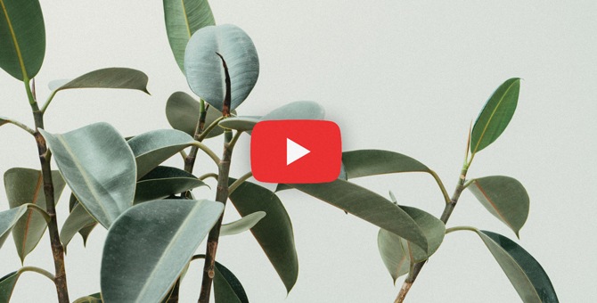 Как YouTube влияет на экологию планеты