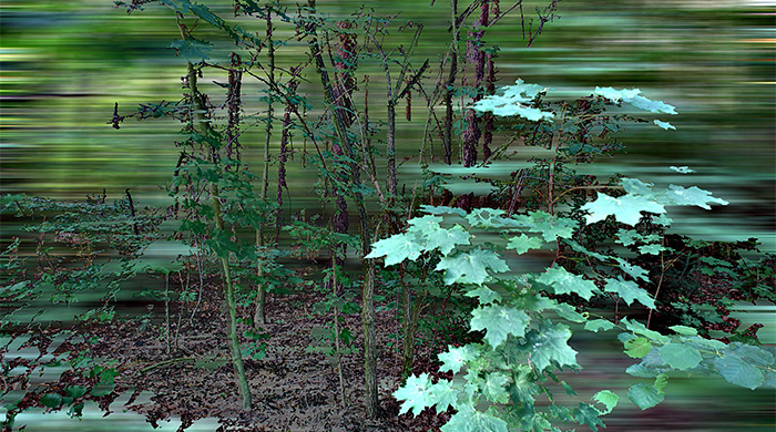 Выставка \"Истории со всего света\" в галерее Lumas