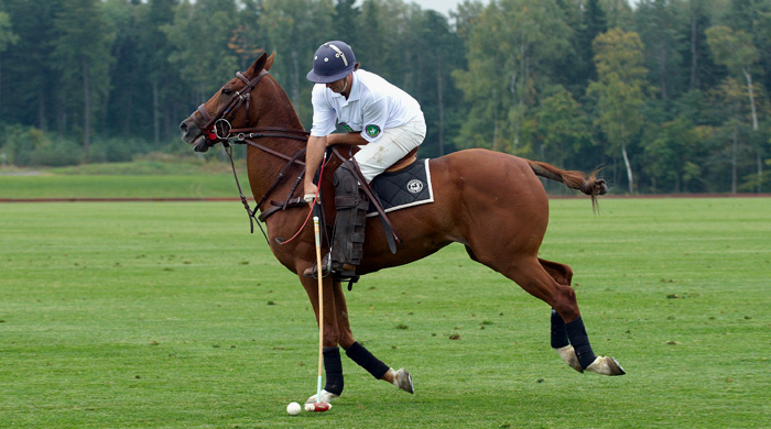 Учебная часть: 5 мастер-классов для мужчин