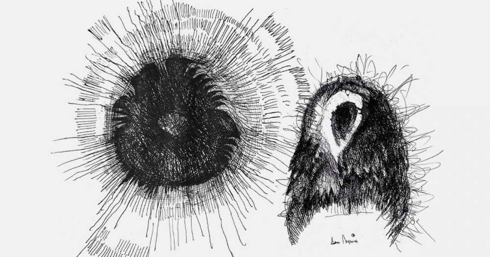 Художники рисуют для BURO.: Даня Пирогов — о страхе перед природными силами