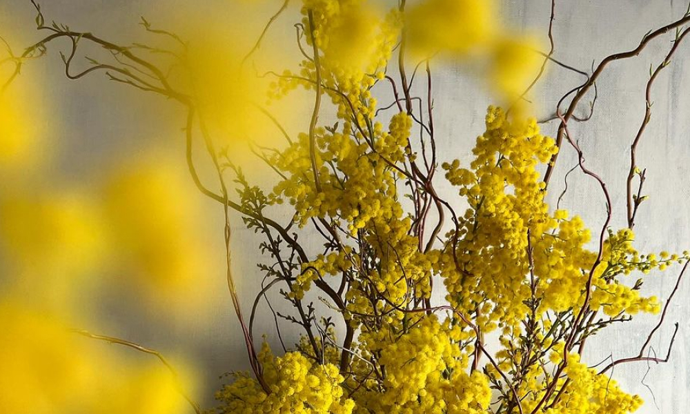 I Can Buy Myself Flowers: гид по студиям флористики